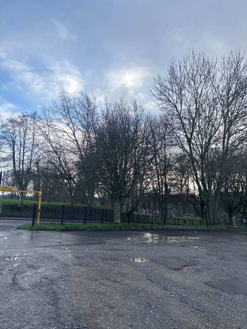 walking near me in Lambley Lane Recreation Ground (South) in winter