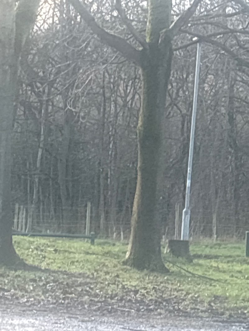 walking near me in Maun Valley Nature Reserve in winter