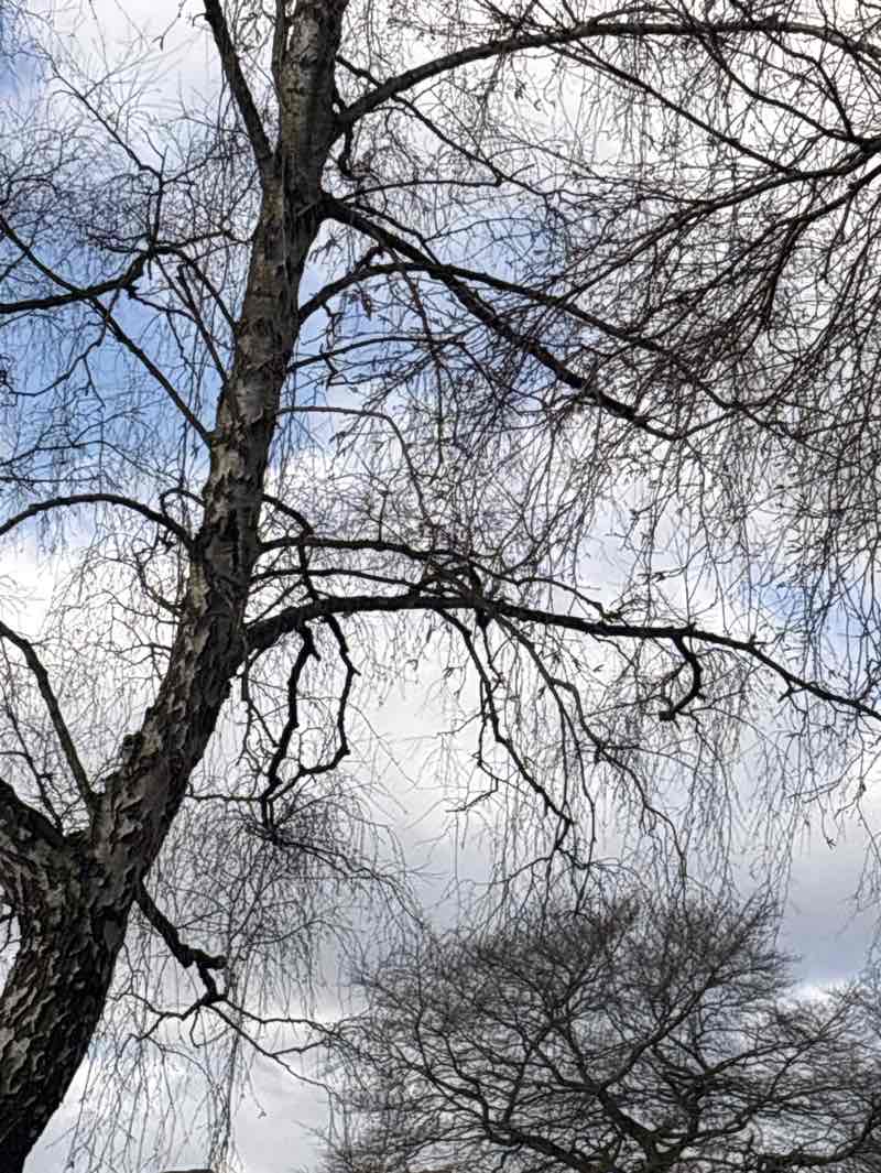 walking near me in Yeoman Hill Park in spring