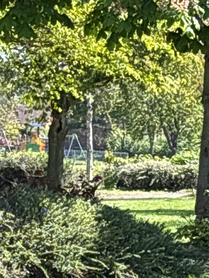 walking near me in Winfield Park in spring