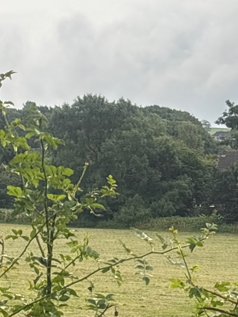 walking near me in Barton Road Playing Field in summer