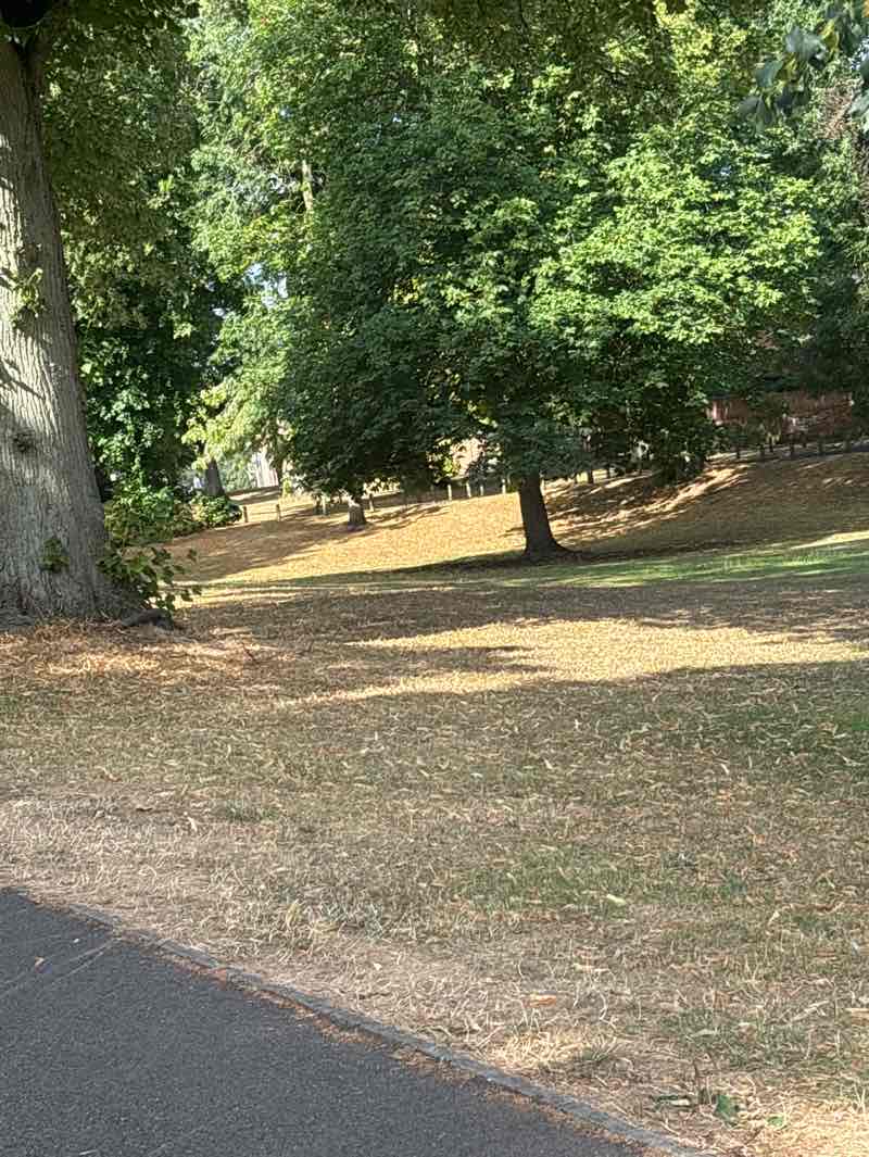 walking near me in Burgage Green in summer