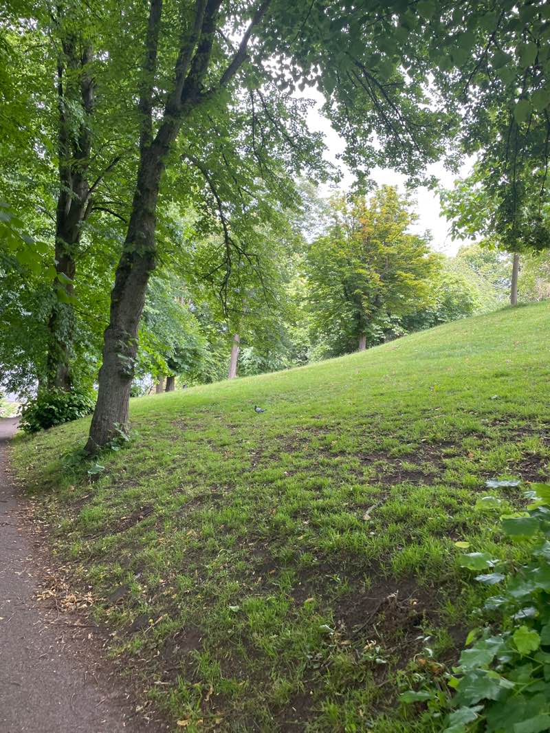 walking near me in Brandon Hill Park in summer