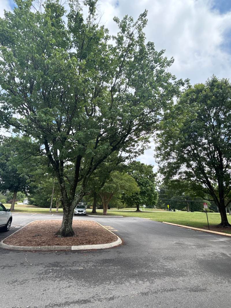 walking near me in Veterans Park in summer