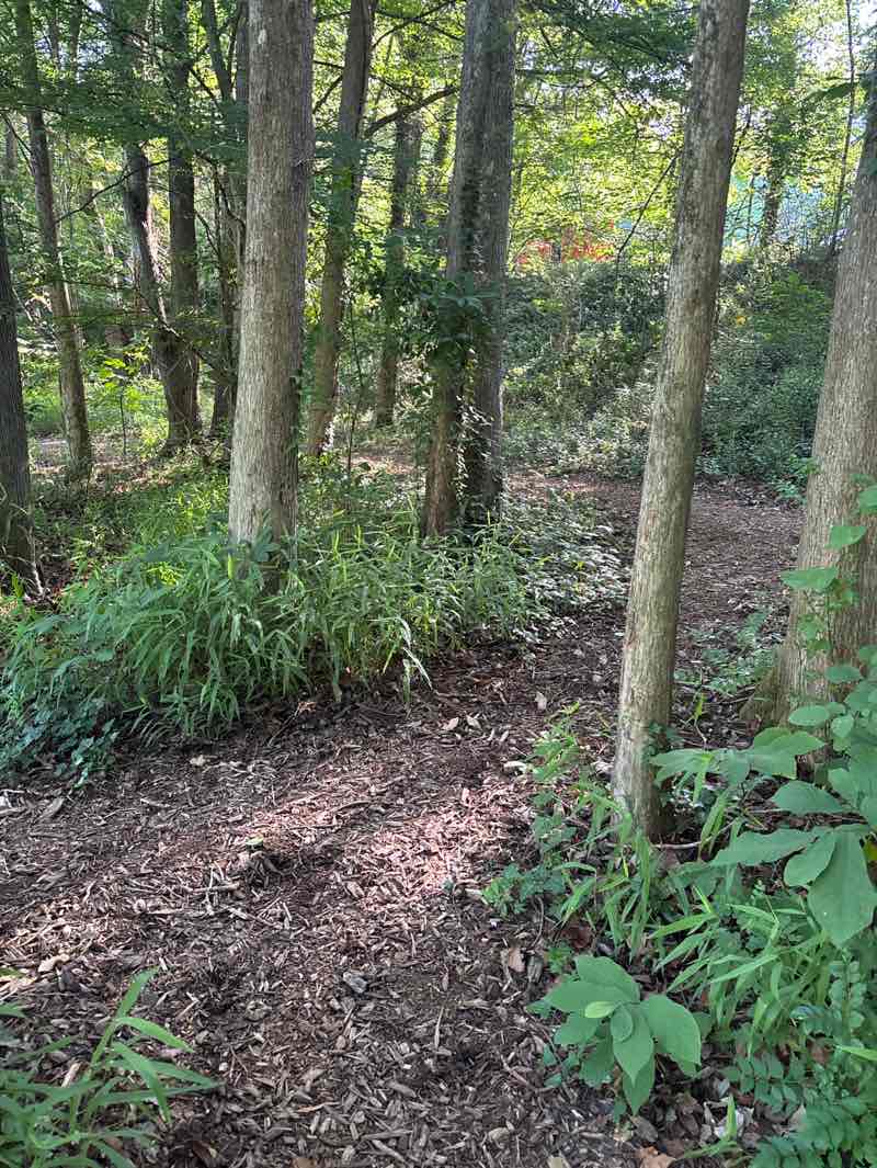 walking near me in Powhatan Blueway Park in summer