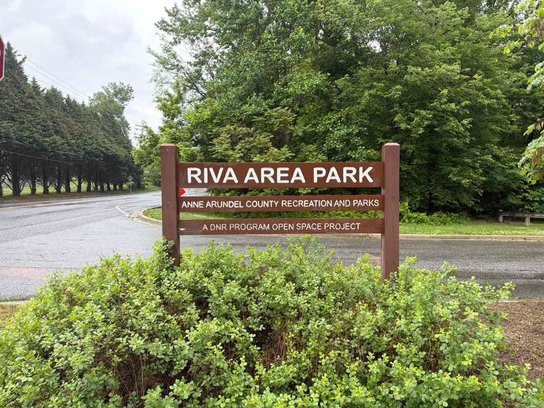 walking near me in Riva Area Park in summer