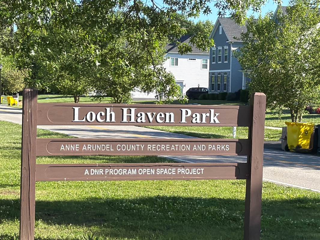 walking near me in Loch Haven Park in summer