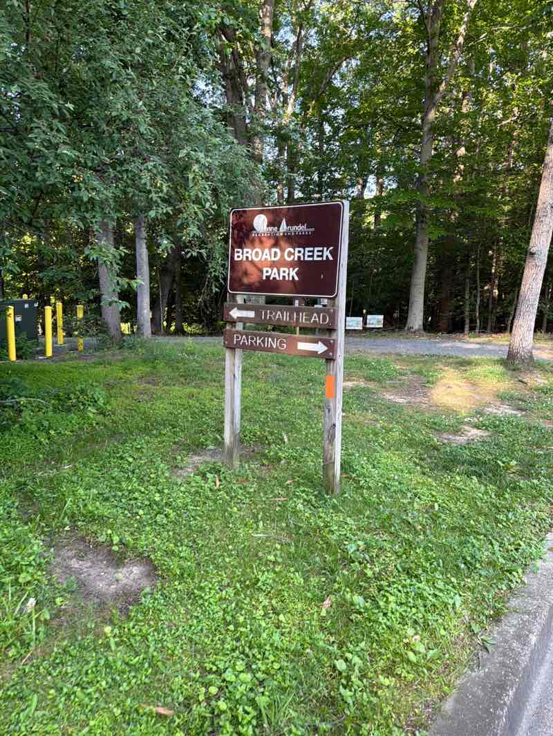 walking near me in Broad Creek Park in summer