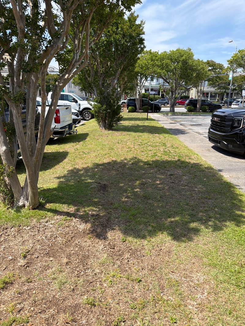 walking near me in Morehead City Waterfront Park in summer