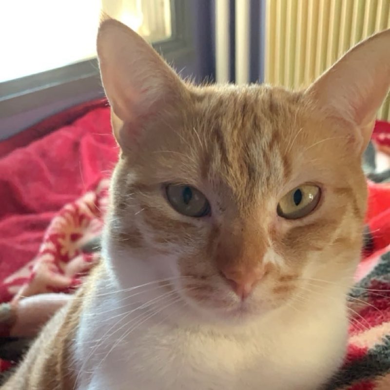 Féfée 🇫🇷 profile