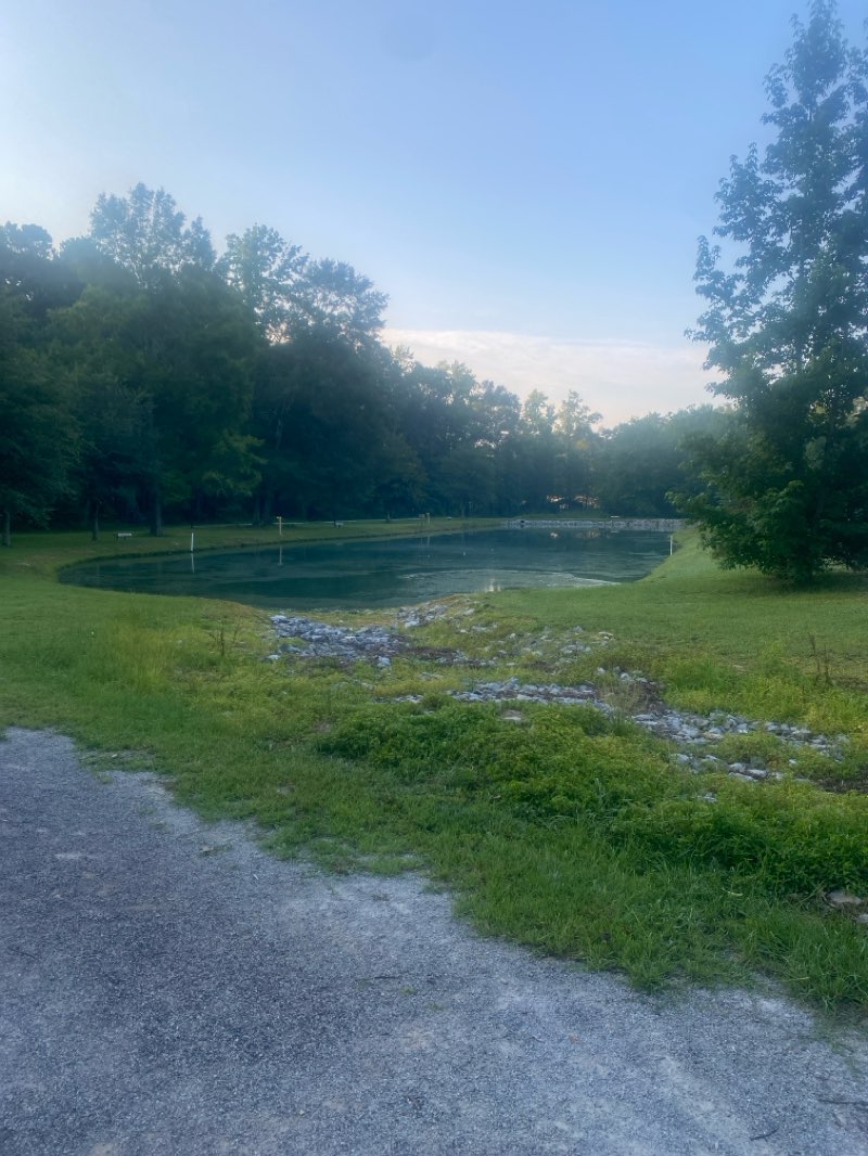 walking near me in Veteran's Park in summer
