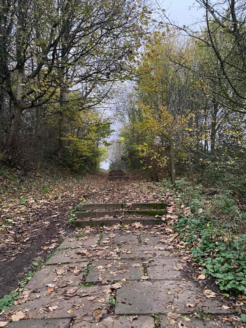 walking near me in Vickersway Park in winter