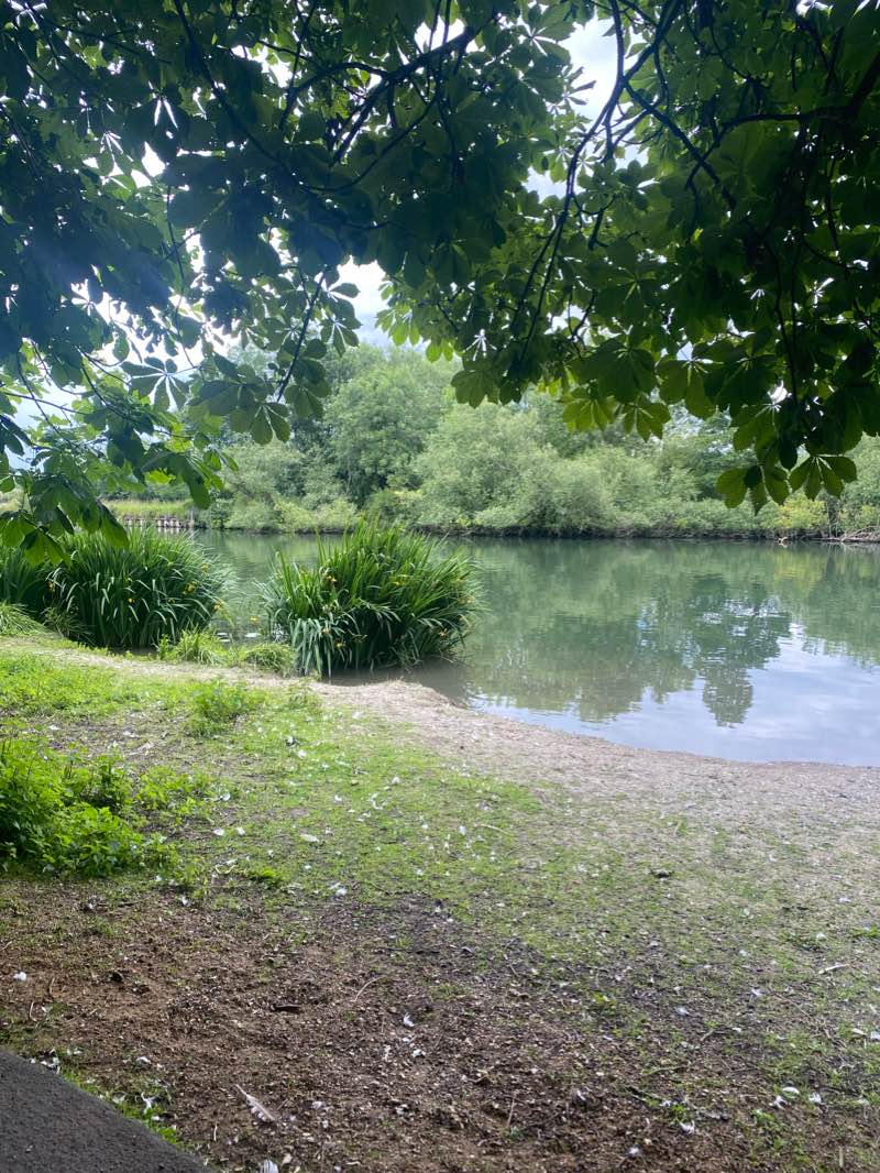 walking near me in Kings Meadow in winter