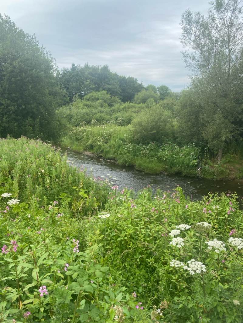 walking near me in Thompson Park in winter