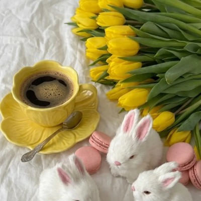 🇮🇹KUMQUAT🇮🇹 ☕🌻🍀 PaTRiZiA 🍀🌻☕ post image