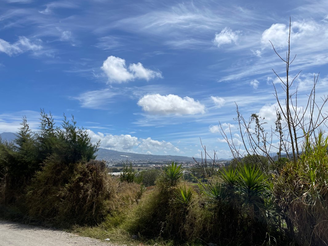 walking near me in Parque Santo Domingo de Savio in winter