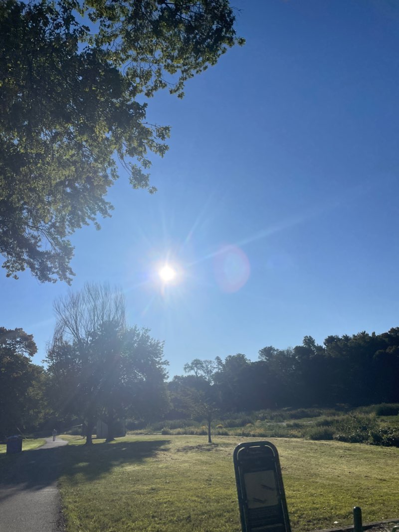 walking near me in Briant Park in winter