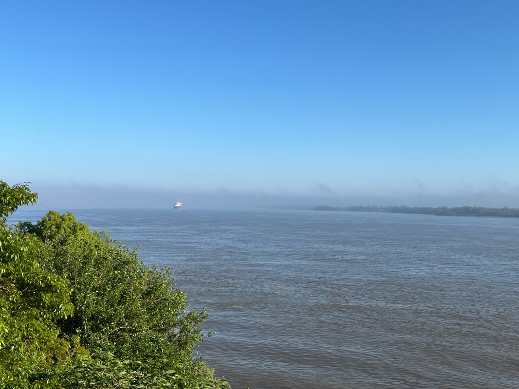 walking near me in Parque de las Colectividades in summer