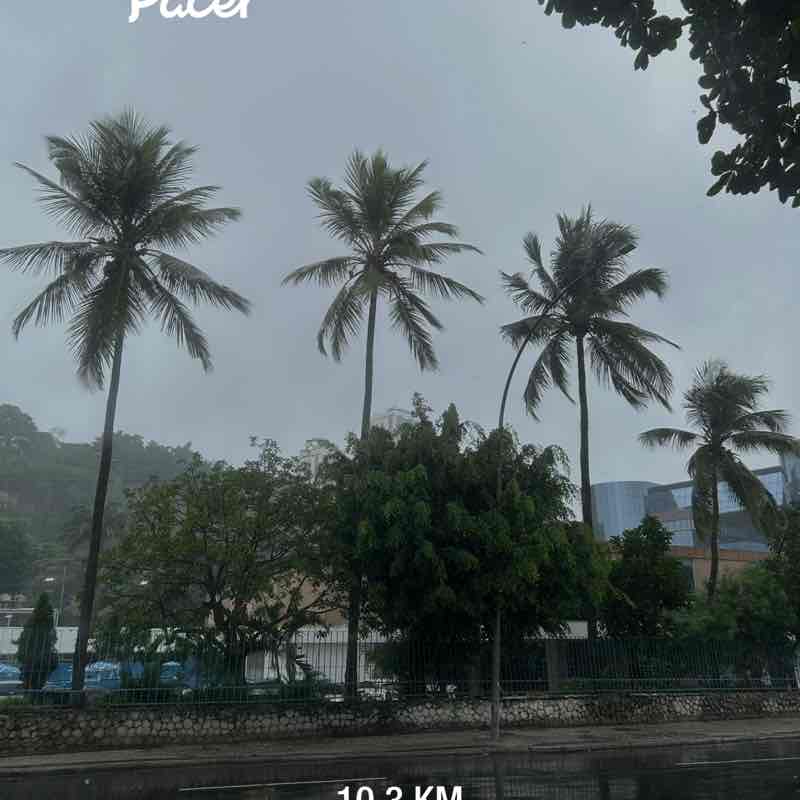 Gabriel Norberto post 1