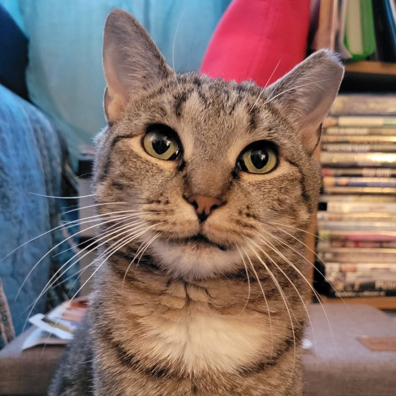 🐈‍⬛ ❥PཞɛɬɬყP❥ 🐈‍⬛