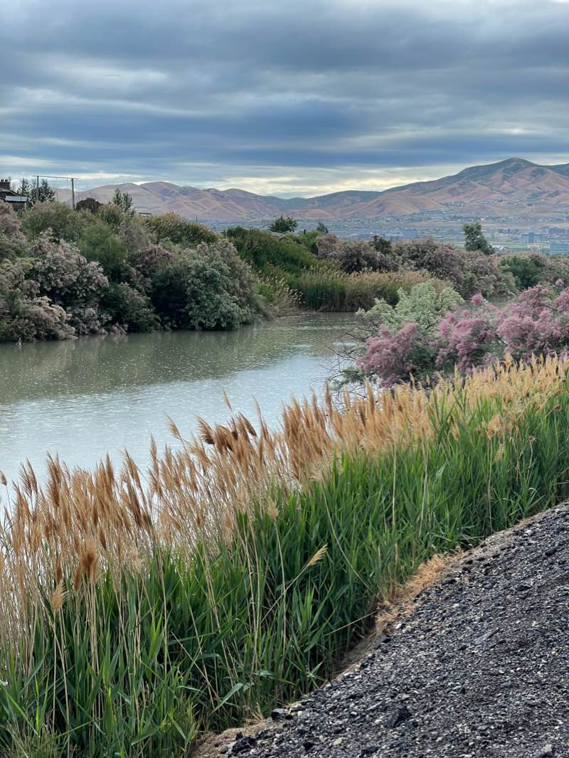 walking near me in Olympic Park in winter