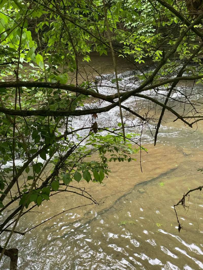 walking near me in River Park in spring