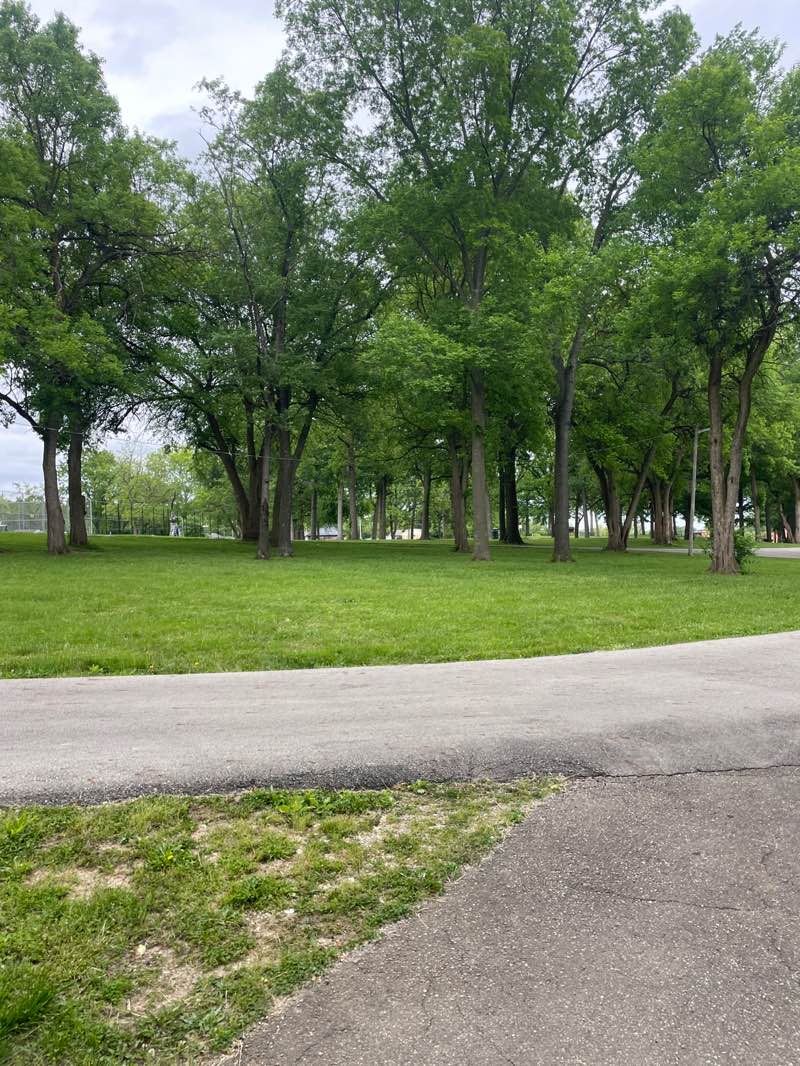 walking near me in Herbert C. Huber Community Park in spring