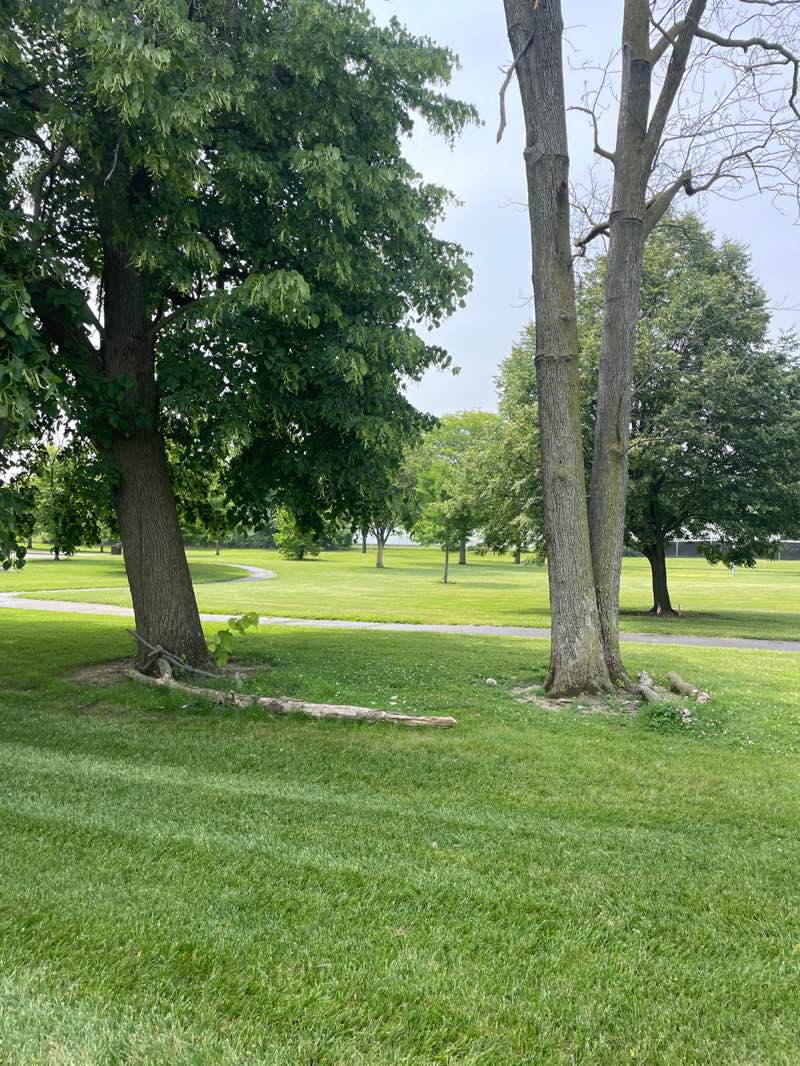 walking near me in Robinette Park in summer