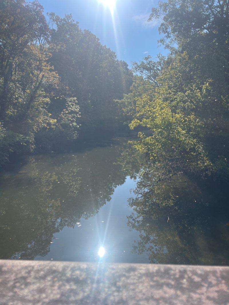 walking near me in Mill Creek Park & Greenway in autumn