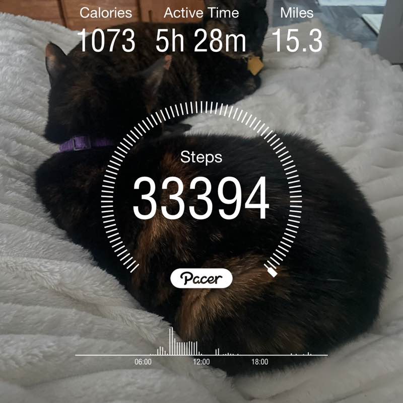 Cynthia 🐈😊🌷 post 2