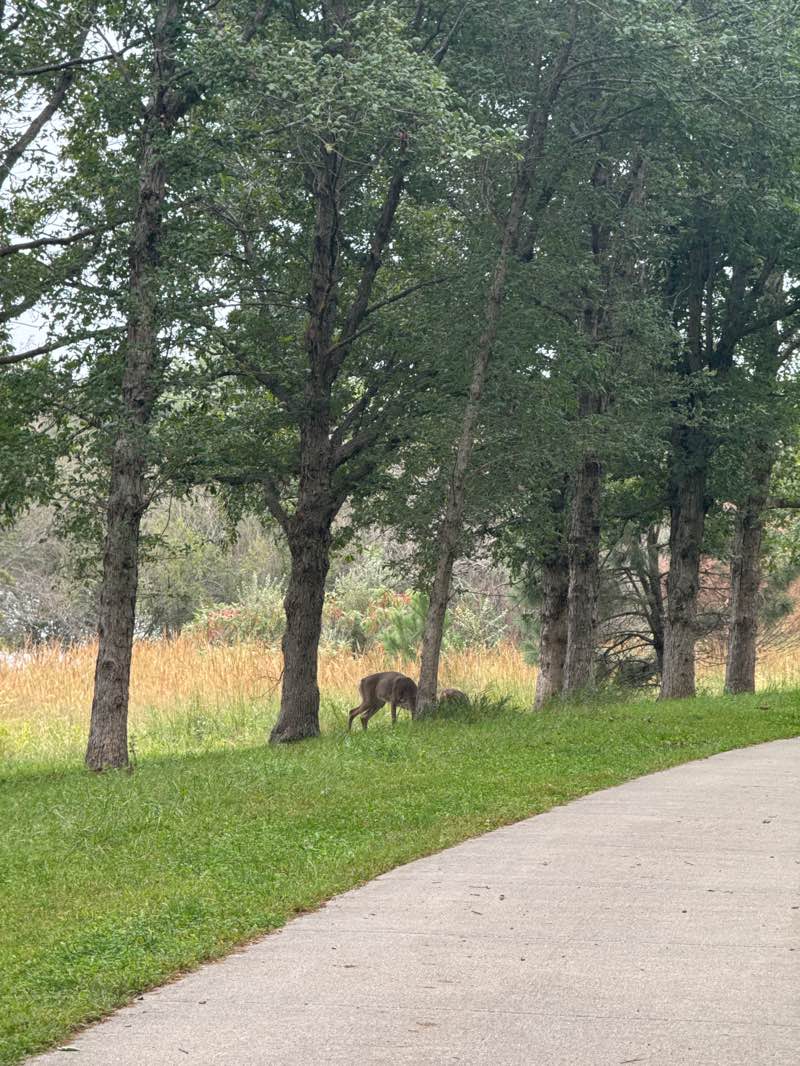 walking near me in Chalco Hills Recreation Area in autumn
