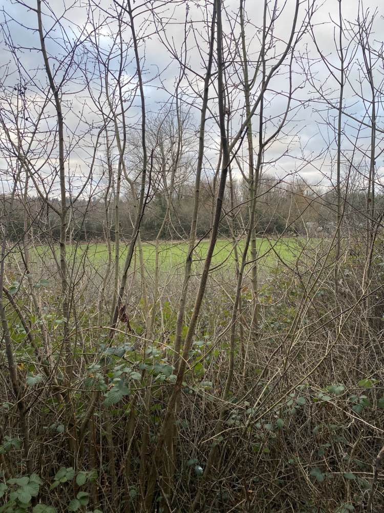 walking near me in City Bank in winter