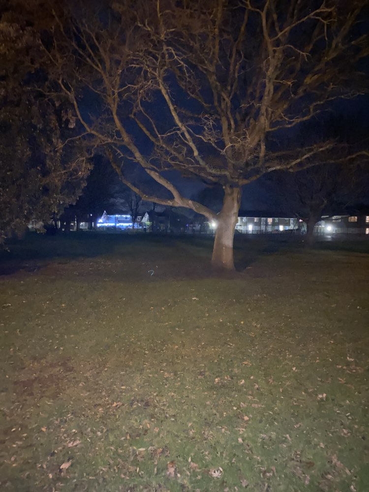 walking near me in Manor Gardens in winter