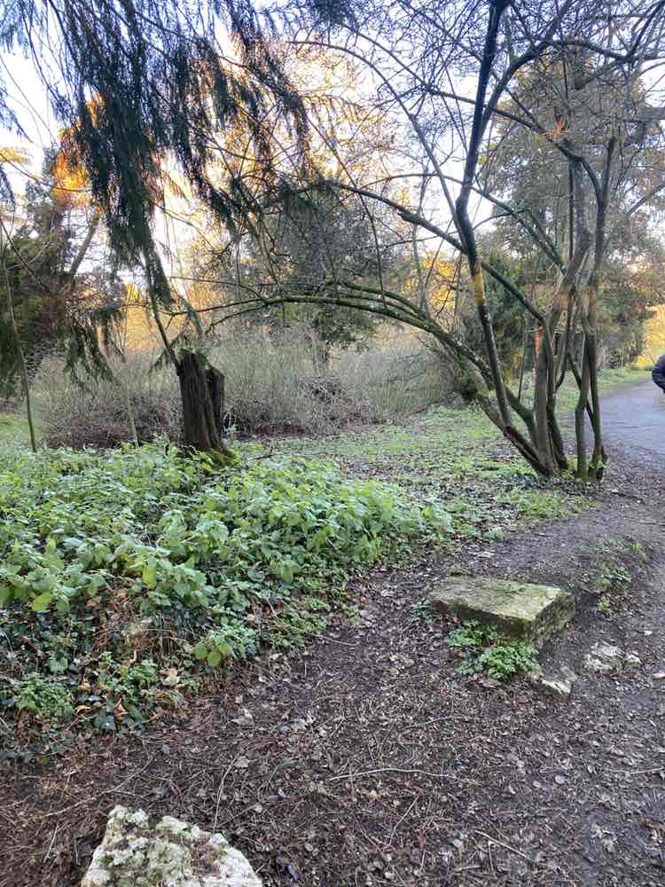 walking near me in Abbey Grounds in winter
