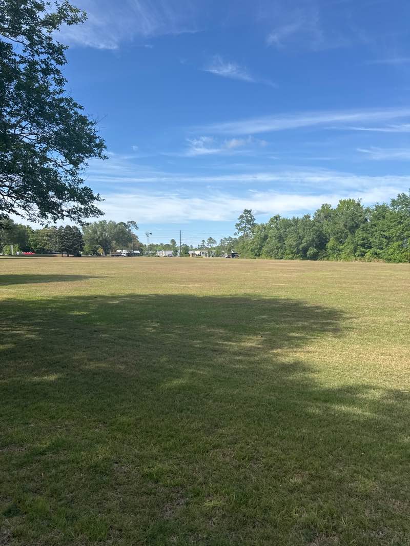 walking near me in Northern Hammock Bay Park in spring