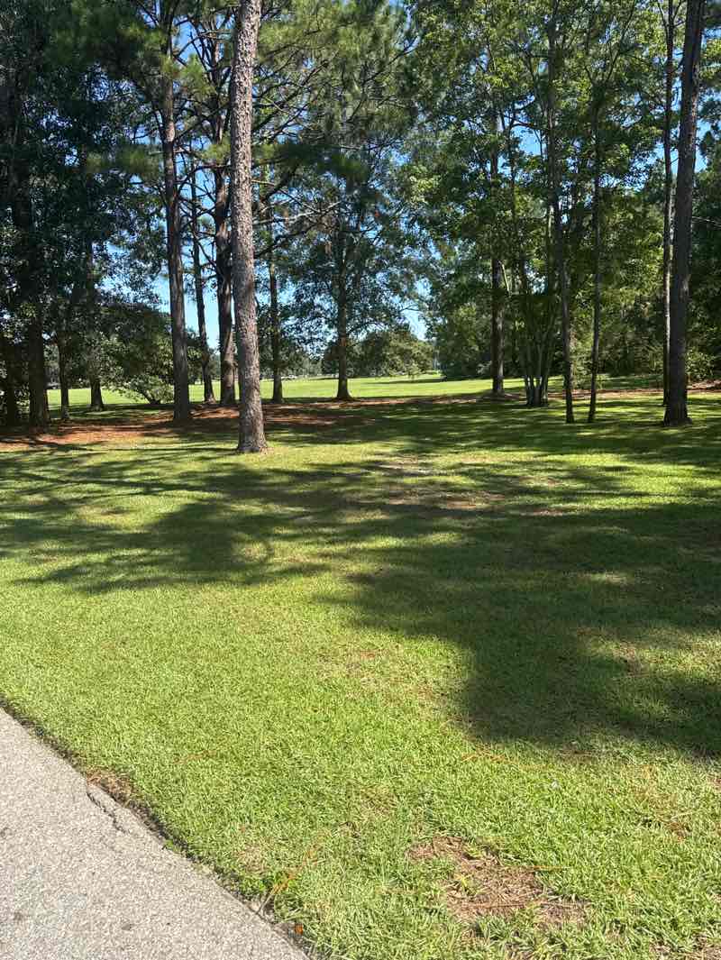 walking near me in Northern Hammock Bay Park in summer