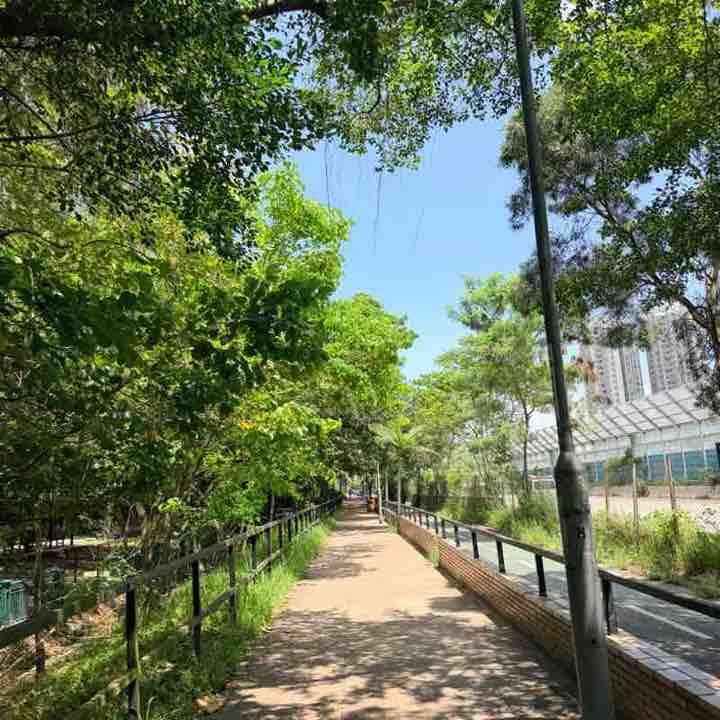 珍珍 post 1