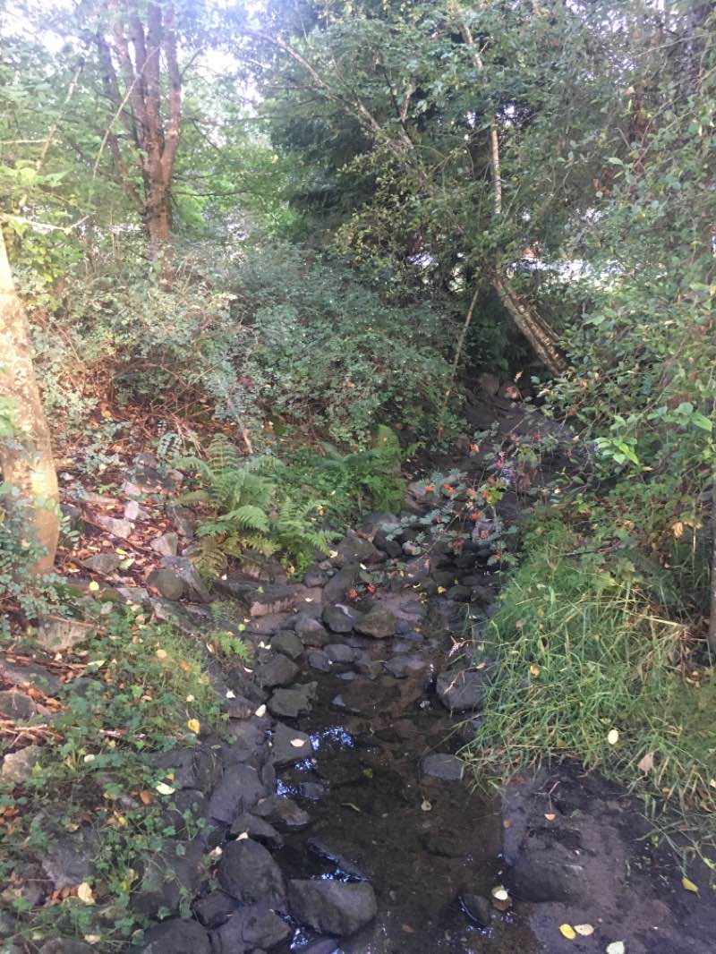 walking near me in Como Lake Park in winter
