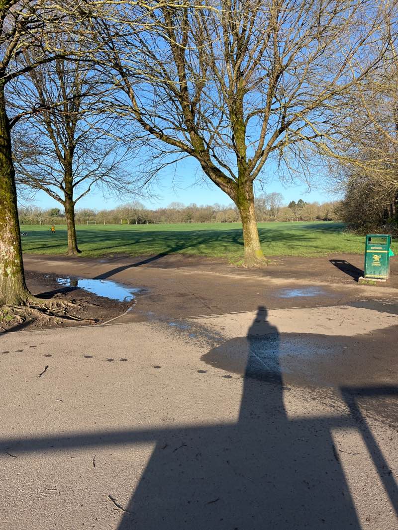 walking near me in Pontcanna Fields in spring