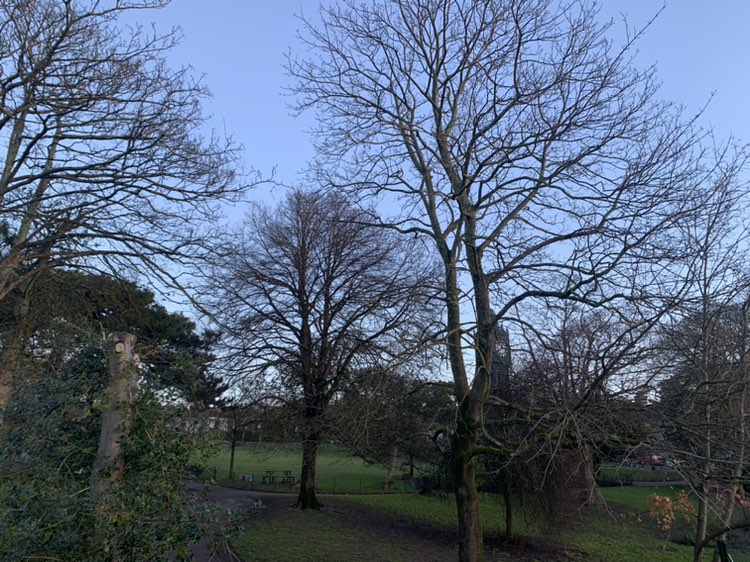 walking near me in Blakers Park in winter
