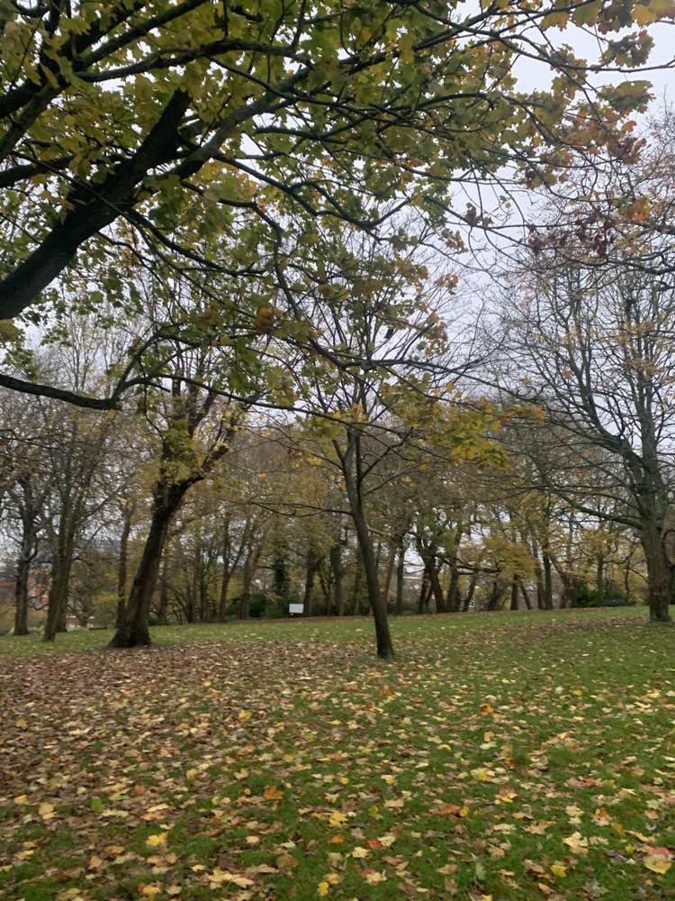 walking near me in St Ann's Well Gardens in winter