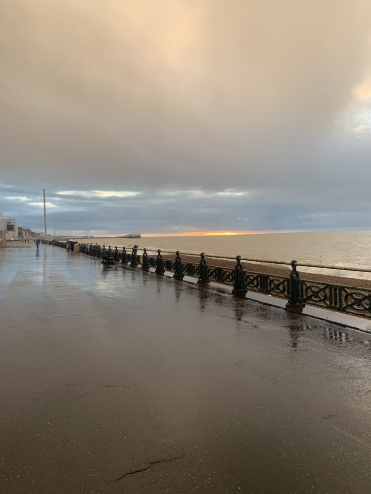 walking near me in Hove Lawns in winter