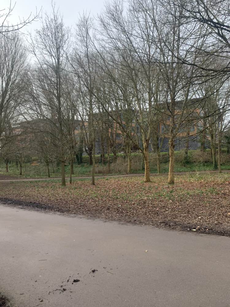 walking near me in Easthill Park in winter