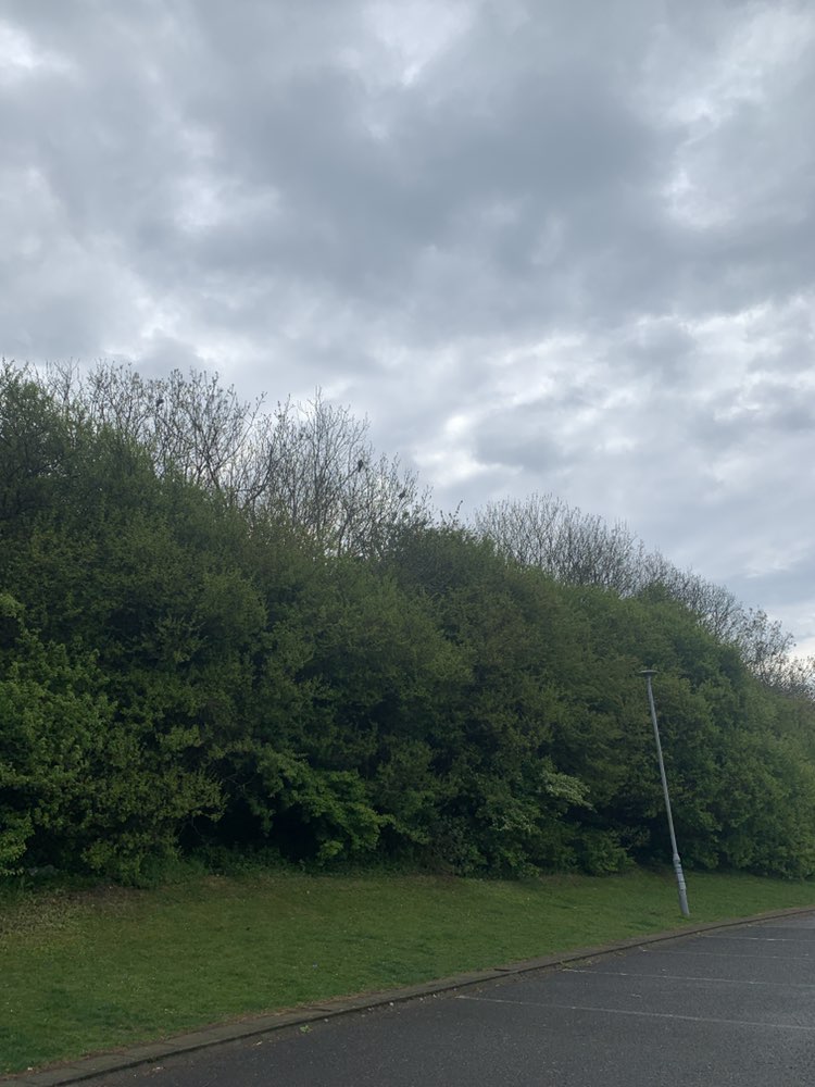 walking near me in Benfield Valley in spring
