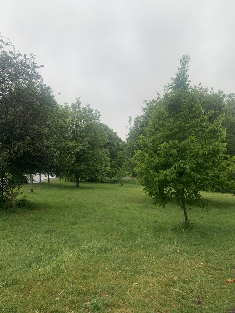 walking near me in Hove Park in spring