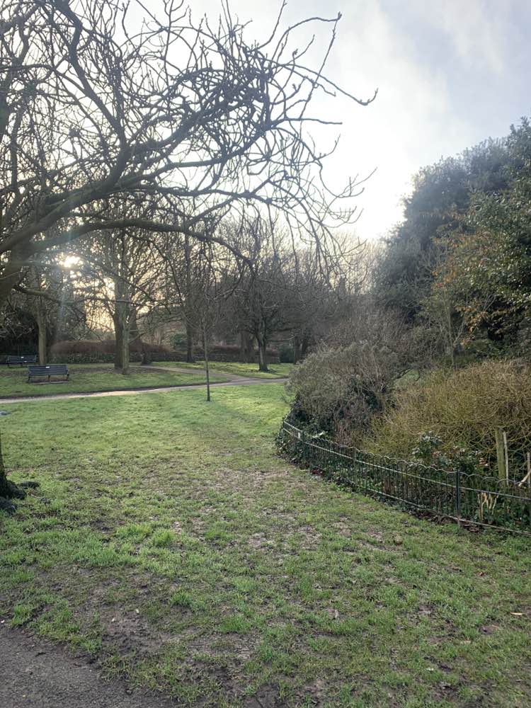 walking near me in St Ann's Well Gardens in winter