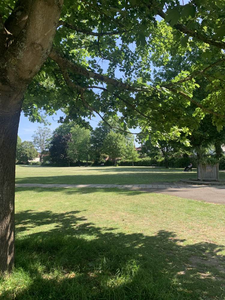 walking near me in Priory Park in summer