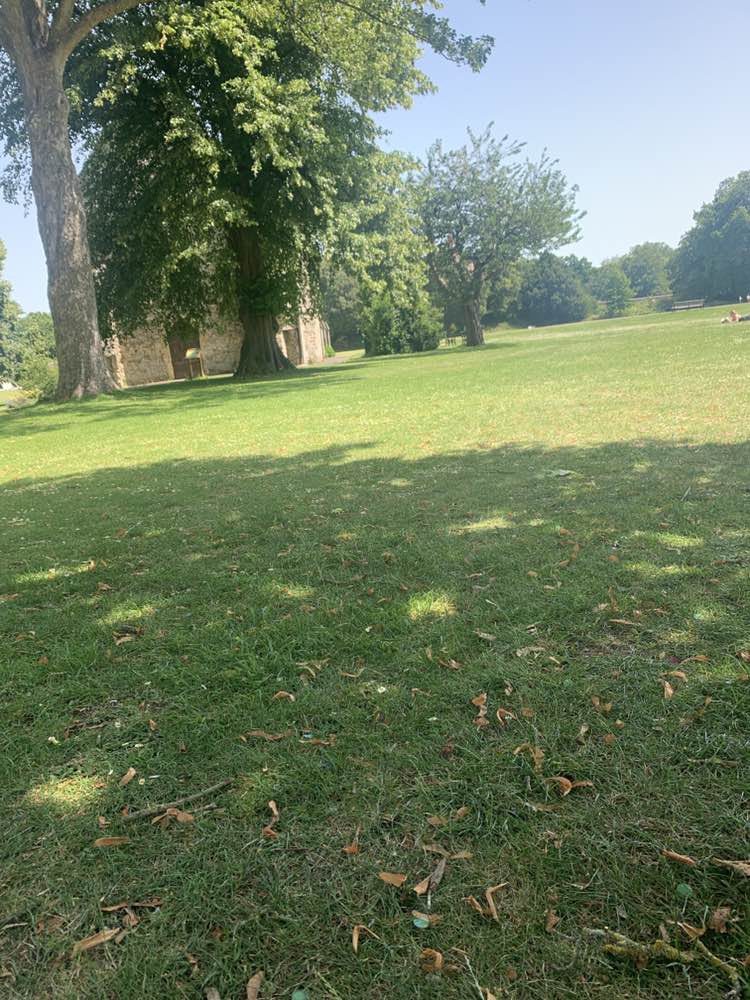 walking near me in Priory Park in summer