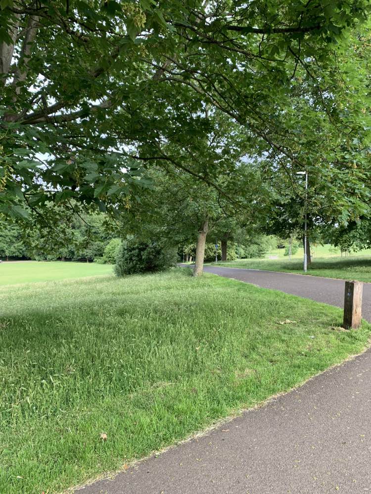 walking near me in Hove Park in summer