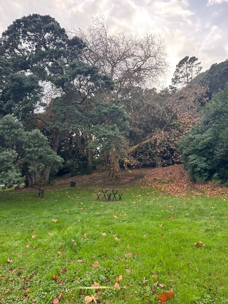 walking near me in Mount Eden in winter